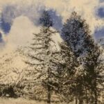 Illustration du profil de Sylvie Audumarés