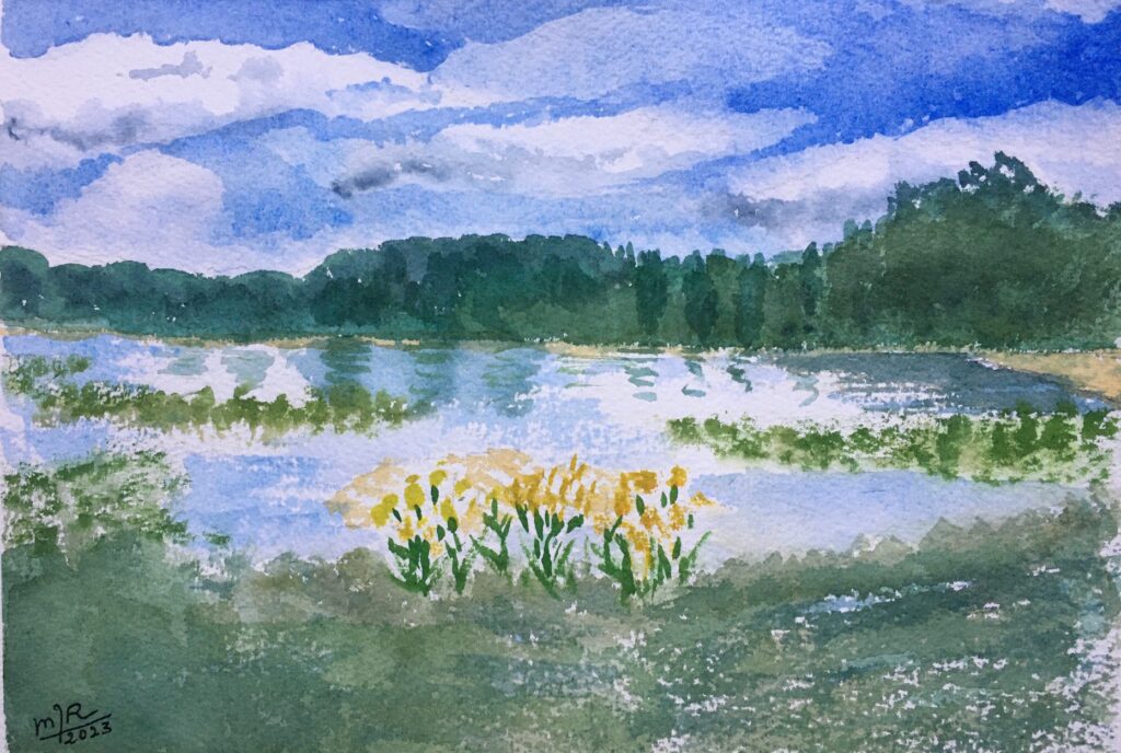 2023-réserve naturelle de la bassée(aquarelle)