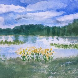 2023-réserve naturelle de la bassée(aquarelle) 