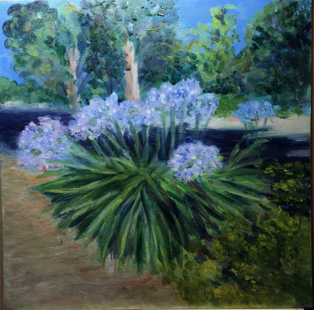 les agapanthes-2025 (huile)