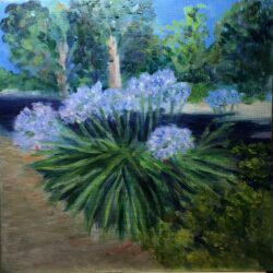 les agapanthes-2025 (huile) 