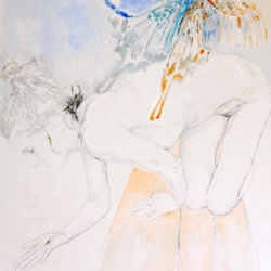 L’infini papillon 