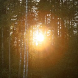 ALMA_ISOLINA_08_Paris_bastia_artiste_photographe_web 