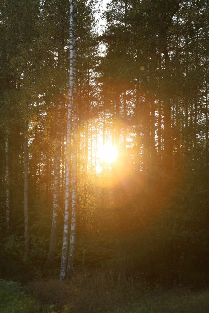 ALMA_ISOLINA_08_Paris_bastia_artiste_photographe_web