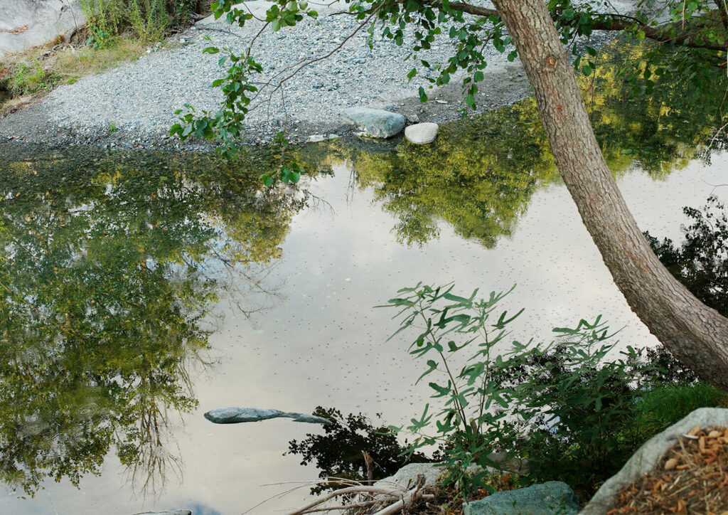 ALMA_ISOLINA_Paris_bastia_artiste_photographeweb_kurnos11