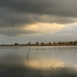 alma_isolina_artiste_photographe_bastia_Paris_bastia_artiste_photographe_V56B1653 