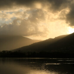 alma_isolina_artiste_photographe_bastia_V56B1656 copie 