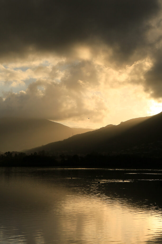 alma_isolina_artiste_photographe_bastia_V56B1656 copie