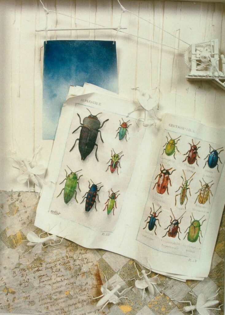 Entomologie I  (50 x 65 cm)