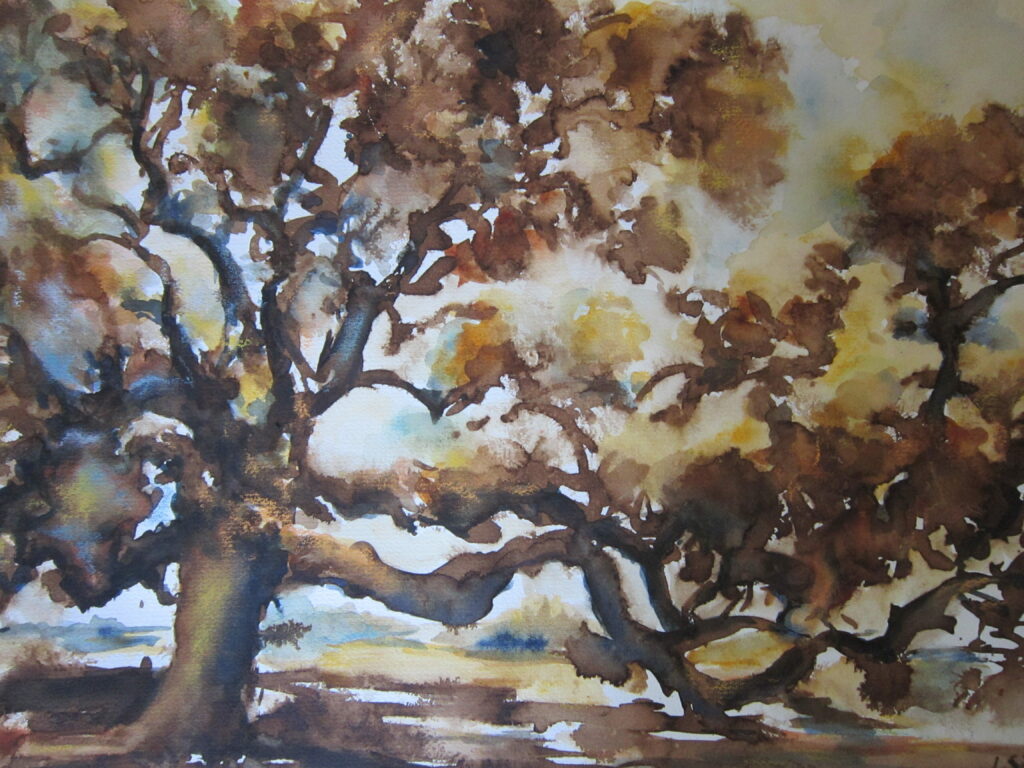 Aquarelle brou noix vieux chêne