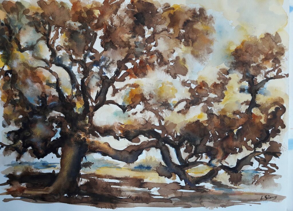 Le vieux Chêne- Lavis Brou de noix  Laurence SIARRY