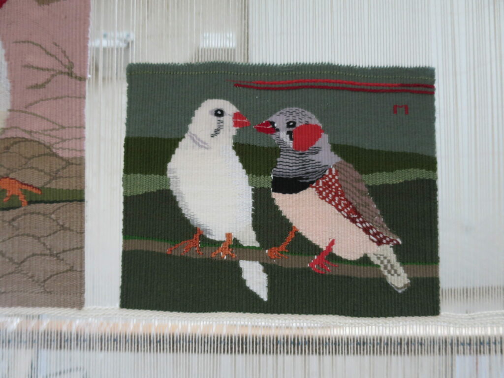 Deux mandarins diamants