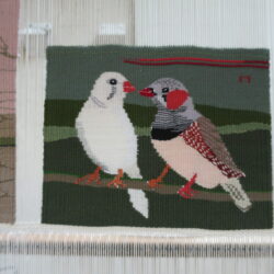 Deux mandarins diamants 