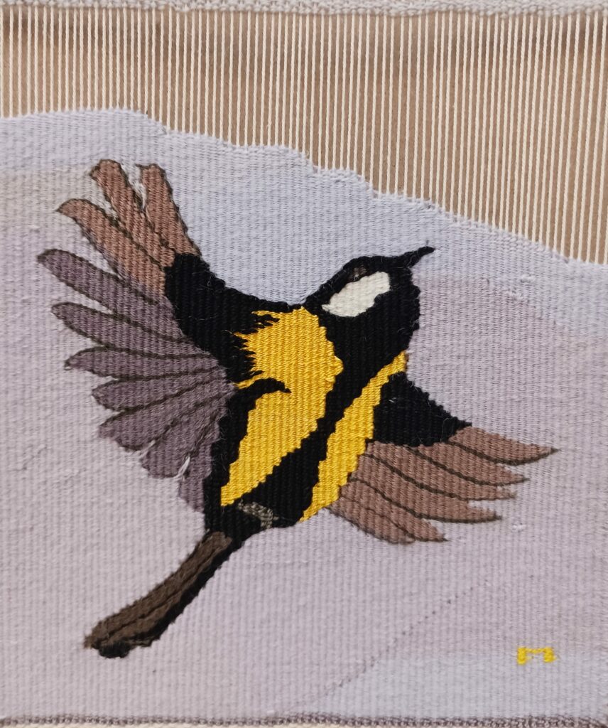 Mésange charbonnieère en vol.