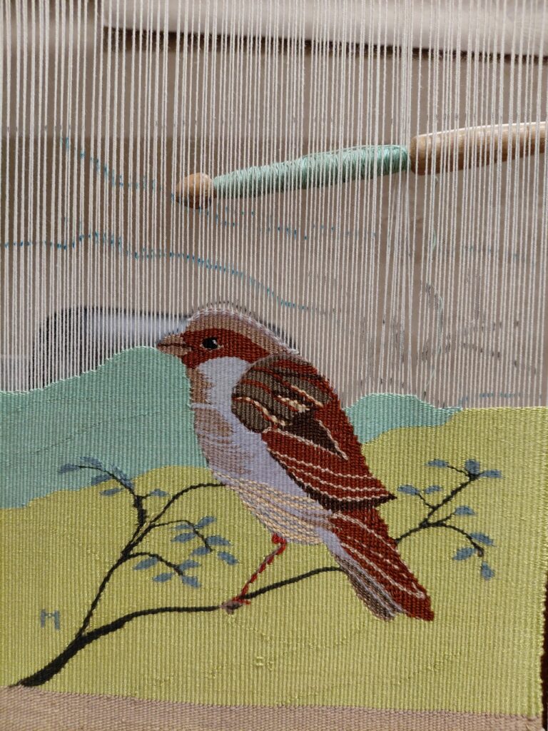 2025- Moineau friquet. Haute lice