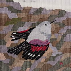 Tichodrome échelette 