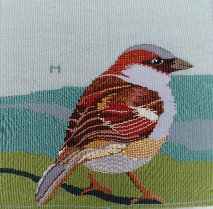 2026. Moineau  de Paris  Haute lice coton laine(16x16cm) copie