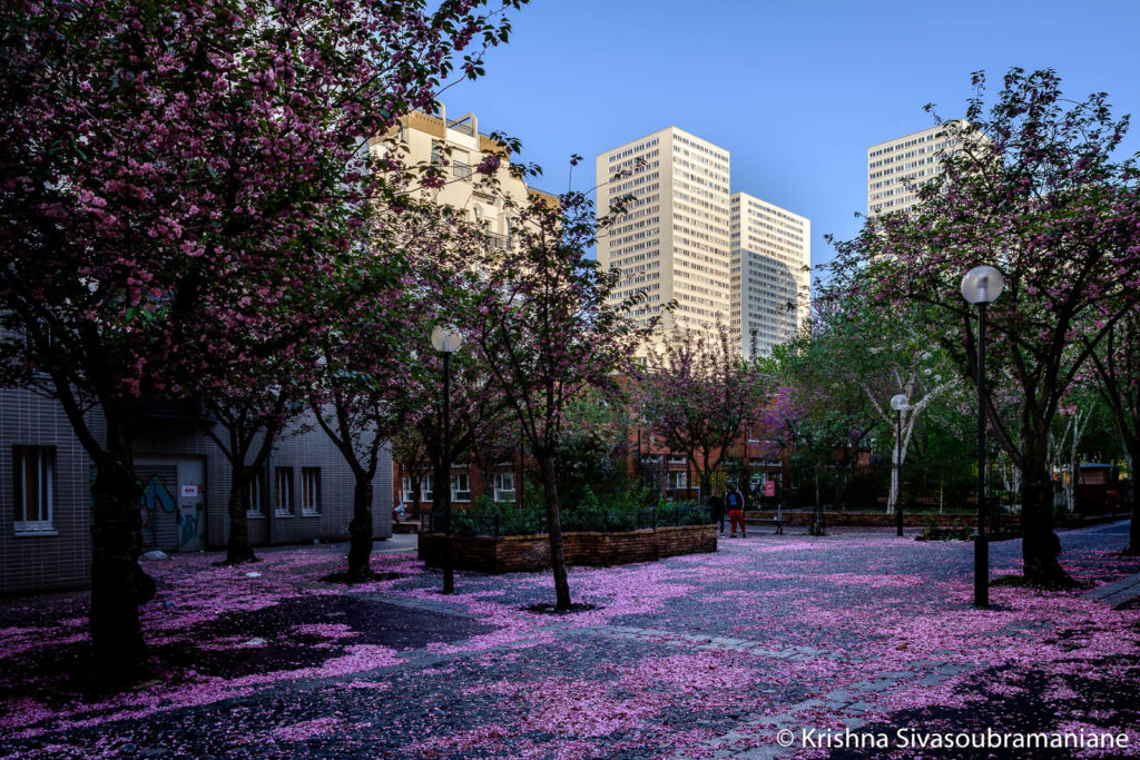 Paris XIII, Printemps
