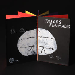 POP UP : livre « Traces Animales » 