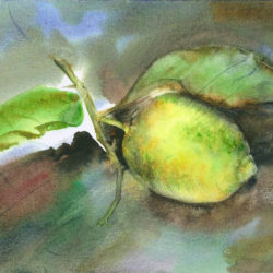 Aquarelle – Aube et citron 