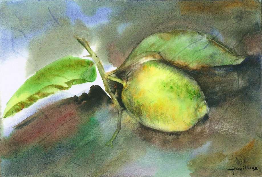 Aquarelle – Aube et citron