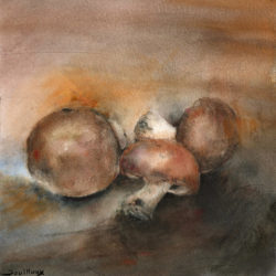 Aquarelle – Champignons en pénombre 