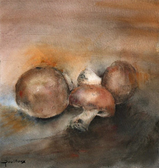 Aquarelle – Champignons en pénombre