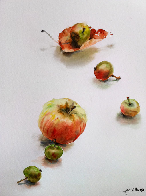 Aquarelle – Jeté de pommes