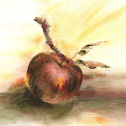 Aquarelle – Pomme et branche 