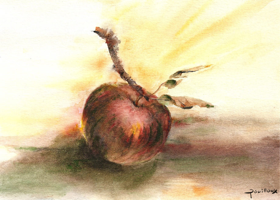 Aquarelle – Pomme et branche