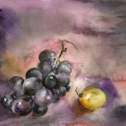 Aquarelle – Raisin et grain en pénombre 