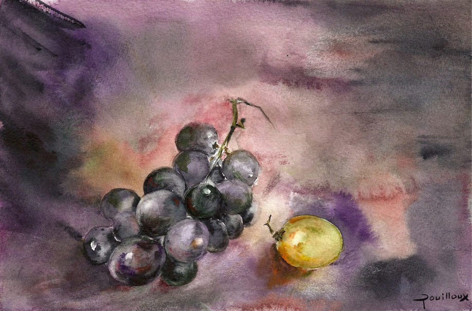 Aquarelle – Raisin et grain en pénombre