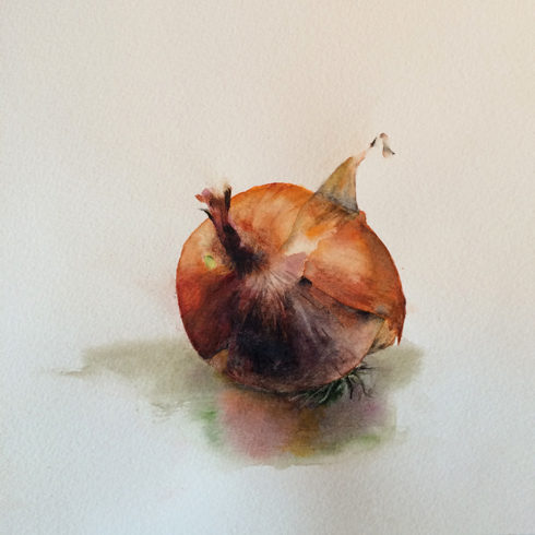 Aquarelle – Un oignon seul